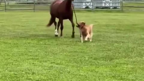 Woe Day 77. I am in the ark. Waiting for GOD to open the Door for a spring/summer Pentecost rapture