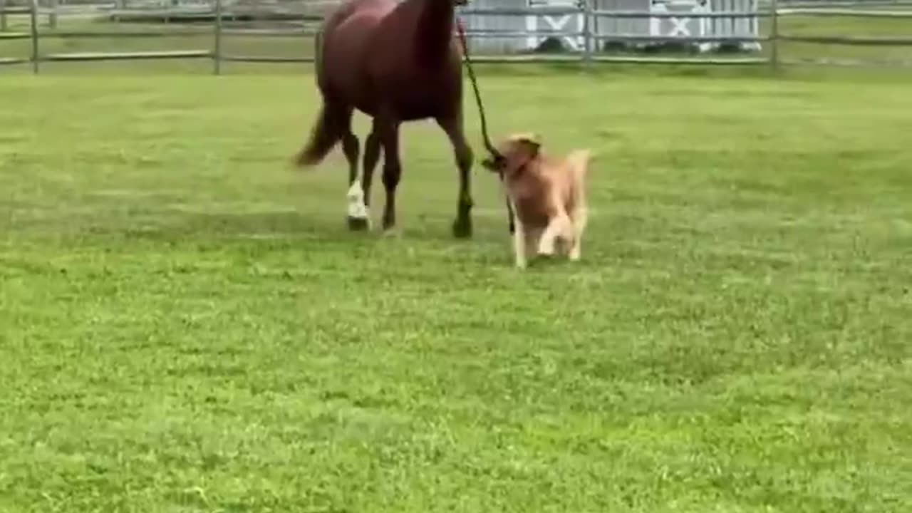 Woe Day 77. I am in the ark. Waiting for GOD to open the Door for a spring/summer Pentecost rapture