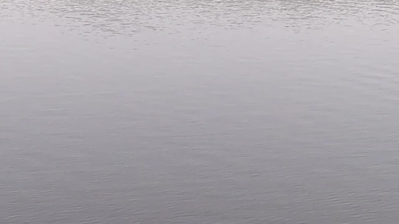 WTH is coming this way