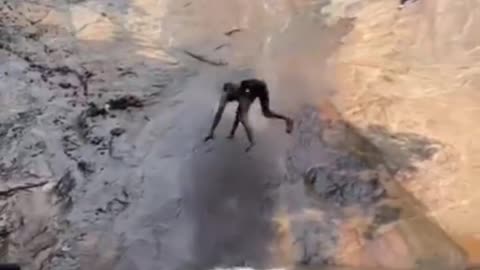 The End 😂😂😂 Funniest Short Fail Ever