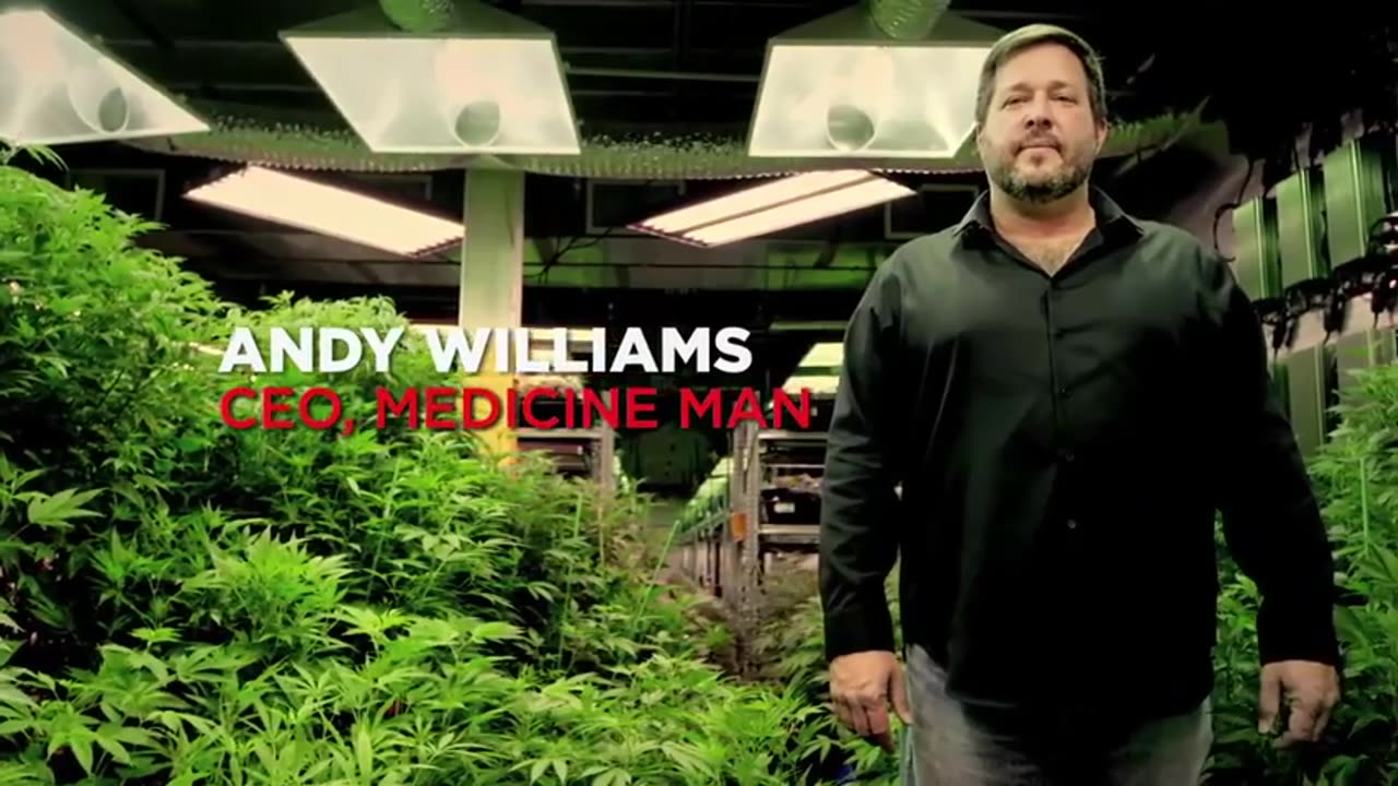 WHAT HAPPENED WHEN PORTUGAL DECRIMINALIZED DRUGS? 👊