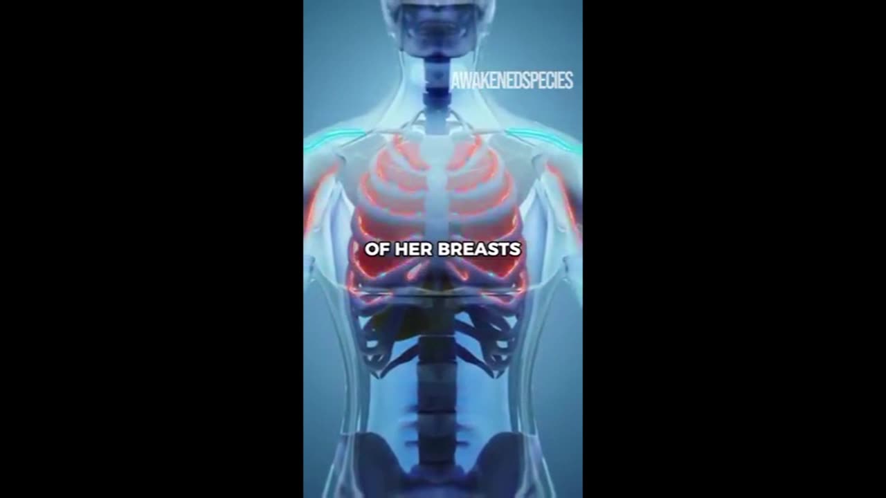 The Lymphatic System Explained in Less Than a Minute