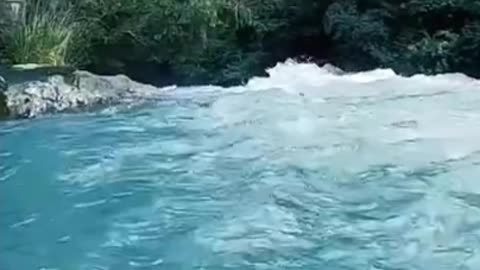 Serene River Sounds: Relaxing Nature Ambience