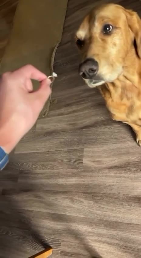 Everyone loves karats