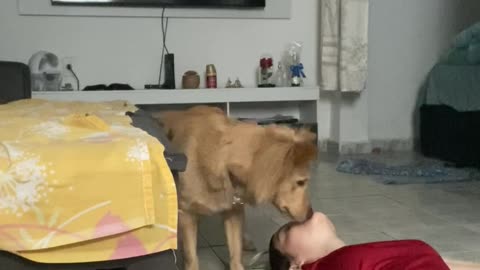 Dog Reacts to Owner Fainting