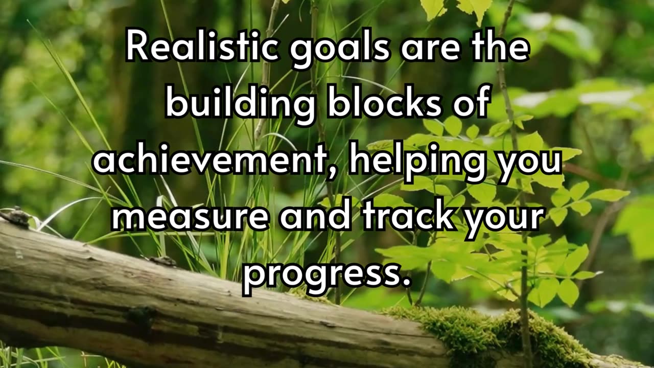 Realistic Goals