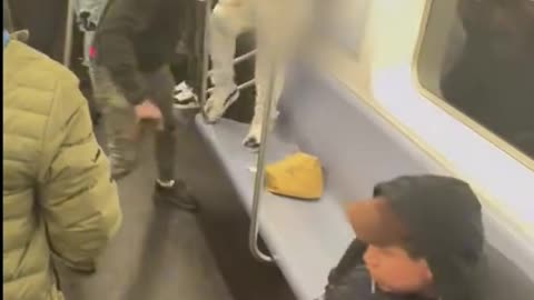 Stabbing attack in NY (disturbing footage)
