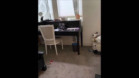 Sparkling Home Cleaning Service