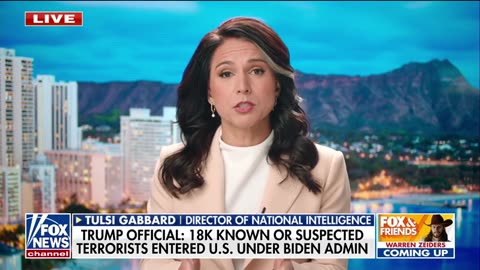 DNI Gabbard: Trump Is Making America Safe Again