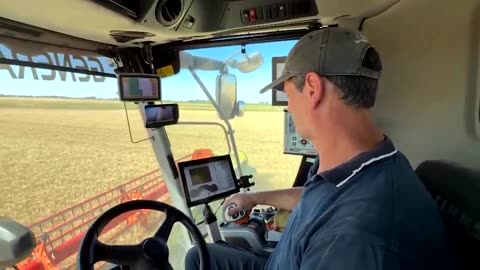 Argentine farmers bag last fields as 'excellent' wheat season wraps