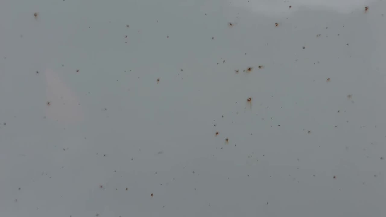 Did you know about this? Why do I have rust spots on my truck? #rust #truck