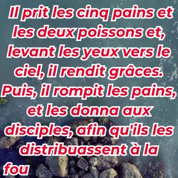 « La provision abondante de Jésus » marc 6:41,42,43. #shortvideo #youtube #ytshorts #shorts #reels