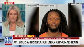 Karoline Leavitt goes nuclear on the complete silence on the murder of Iryna Zarutska