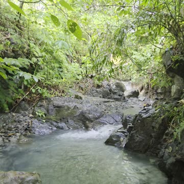 Morning Swim Surprise | Can You Spot the Guest? Comment What You See!! 👀