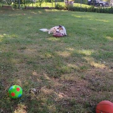 Let's get ready to rumble 1