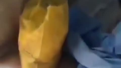 Shocking visuals emerging from Suweida hospital in Southern Syria reveal staff brutally slaughtered.