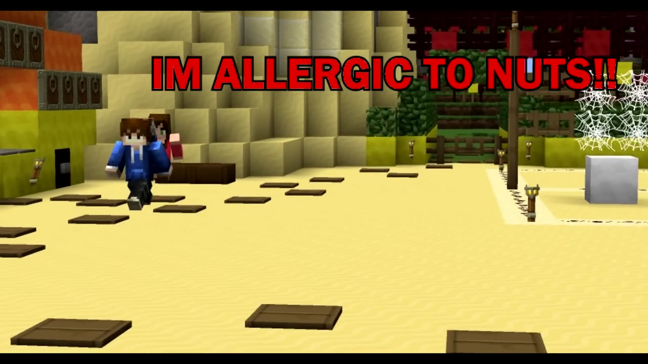 Valentines Day (Minecraft Machinima)