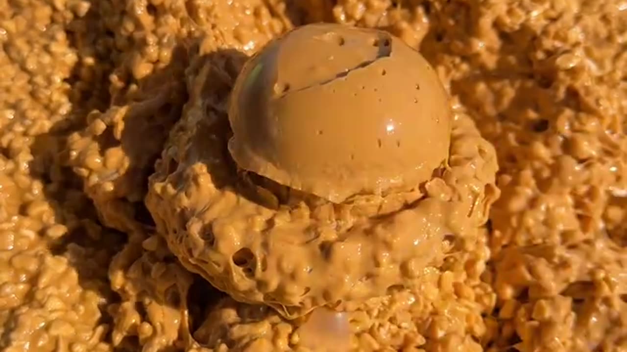 SATISFYING PUMPKIN SPICE SLIME SCOOPS ☕️