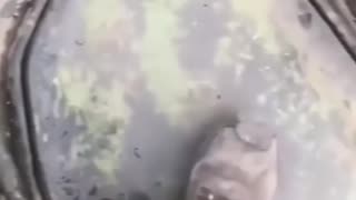 Anybody Home?