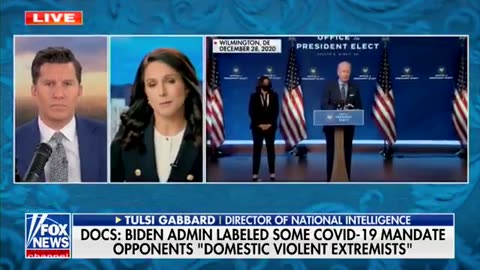 Biden admin has placed many Americans on terror watch lists for opposing COVID-19 mandates.