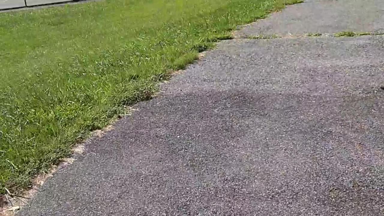 HOW WOKE ARE YOU REALLY