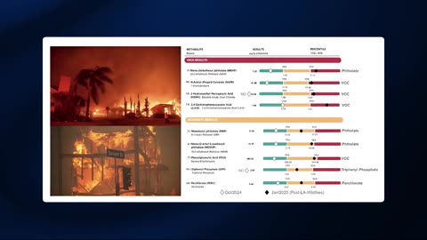 Fire Exposure: Alarming Results - Bryan Johnson Podcast #exposure #chemicals #toxins #wildfires