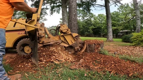 Stump Grinding Small Stumps in Harvest,Alabama