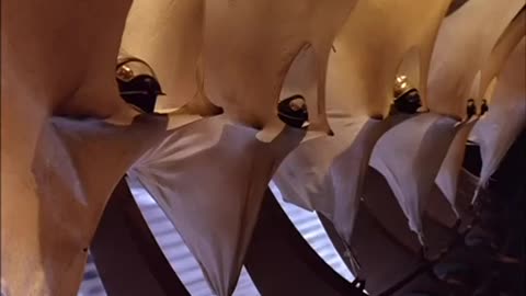 Lexx Episode 4: Giga Shadow