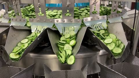 High Tek USA T4 Multi-Head Combination Weigher Packaging Cucumbers