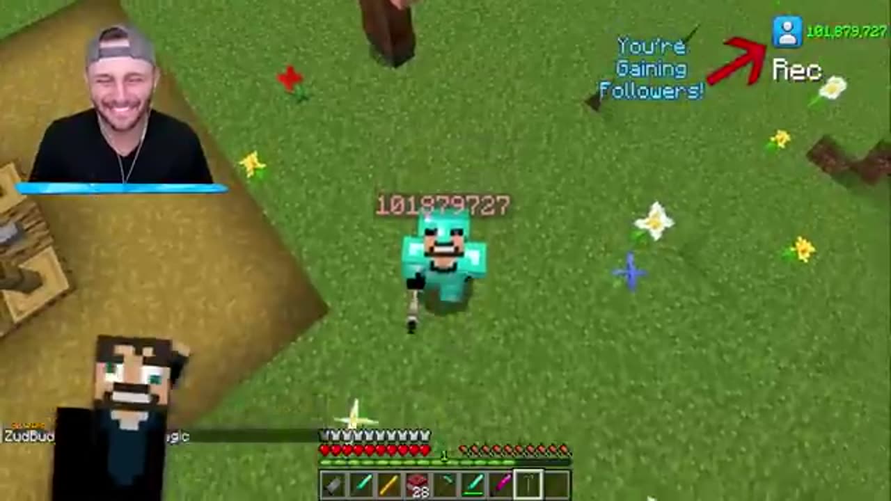 Mod for TIKTOK in Minecraft