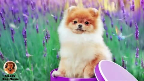Weekend Relax Music ❤ Ad-Free Chill Background for Reading, Studying & Working"