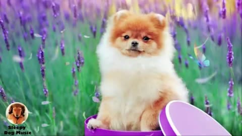 Weekend Relax Music ❤ Ad-Free Chill Background for Reading, Studying & Working"