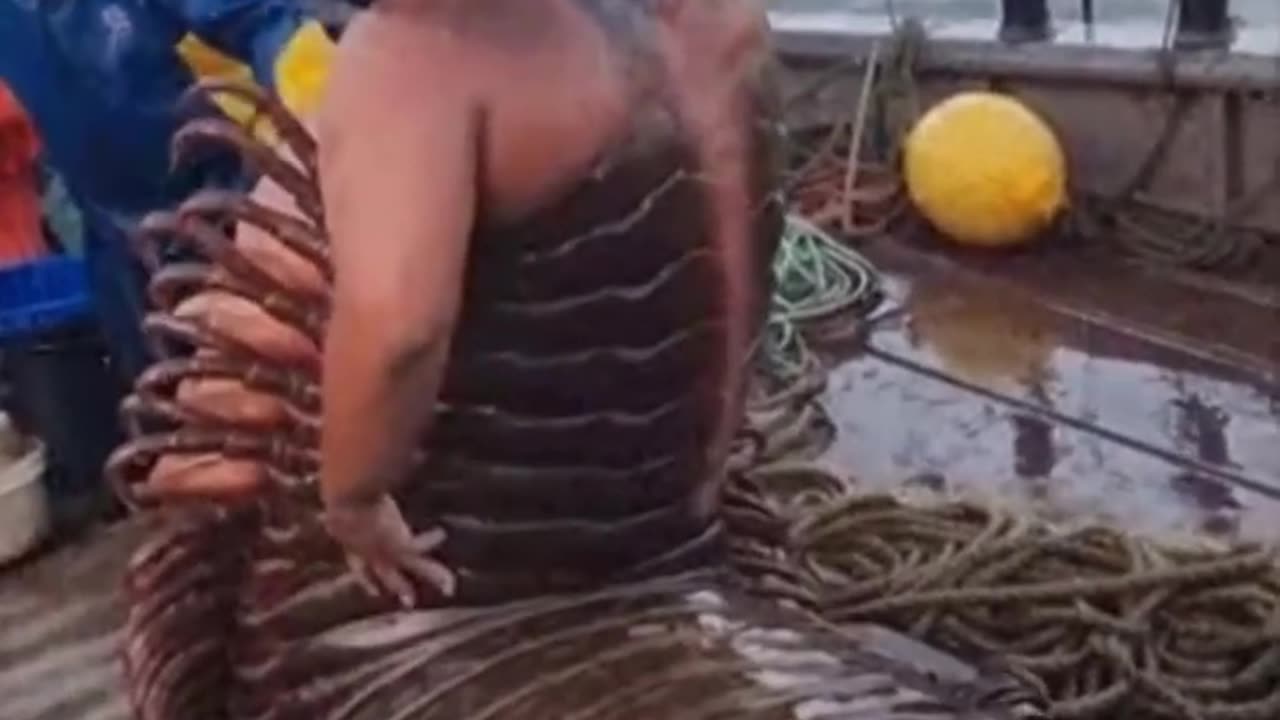 "Shadows & Legends".