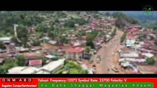 Oduu Galgala ONM-ABO Sadaasa 10-2025 itti dhiyaadhaa!