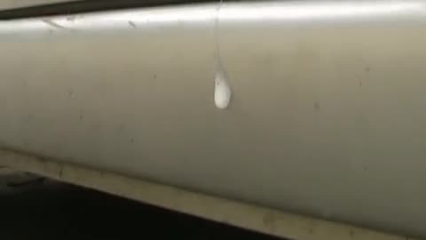 Running Over Snails