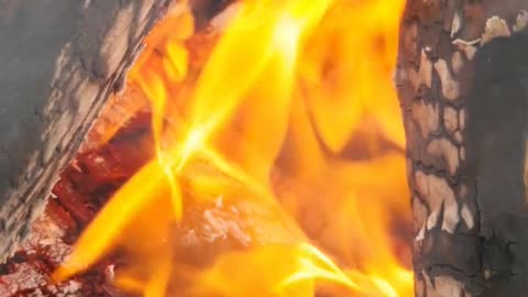 Daily Horoscope | Aries 🌟