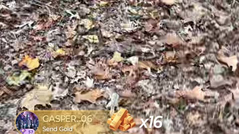 21 back outside it's gonna be cold winter