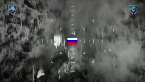 Ukrainian Drone Almost Taken Out by Flying Biomass