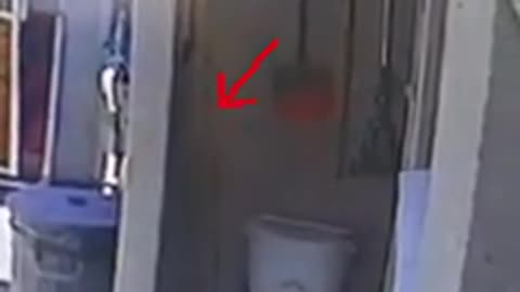 😱👻 What is That? | TheHauntingHour