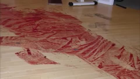 Forensic Files Season 13 Episode 41 Palm Saturday