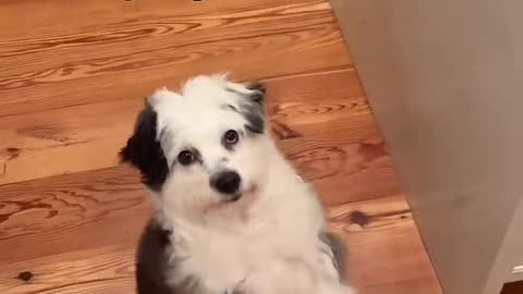 I mean at least she cute 😭☠️