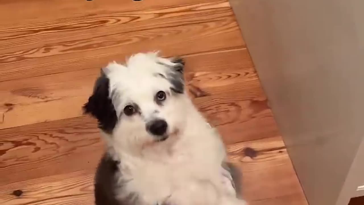 I mean at least she cute 😭☠️