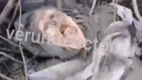 Ukraine war combat footage 7/6/25