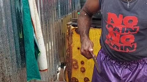 Fish cutting video