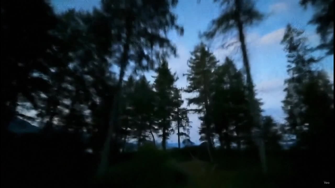 Do you think it's real or fake?