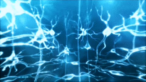 Your Brain Burns 500 Calories a Day! 😱🧠 #brainfacts#CaloriesBurned