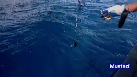 Greatest Swordfish Fishing in the World_part13