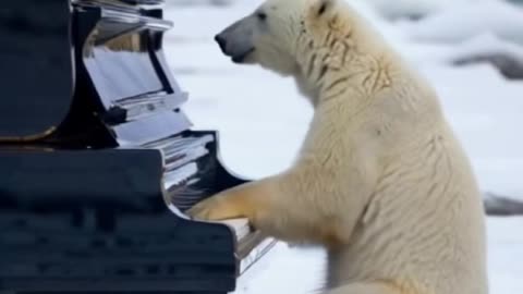 #ai #animal #piano #fyp