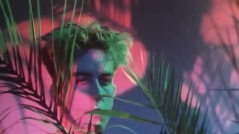 Fun Boy Three - The Lunatics Have Taken Over The Asylum (Official Music Video) (480p)