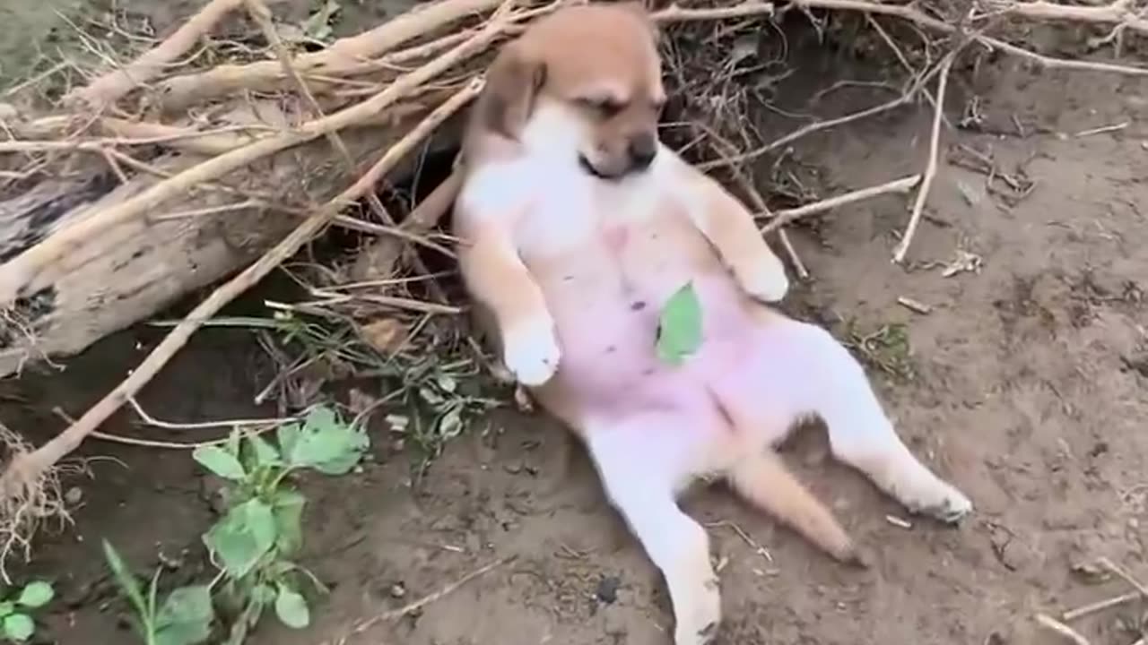 It's a lovely sleep 😴